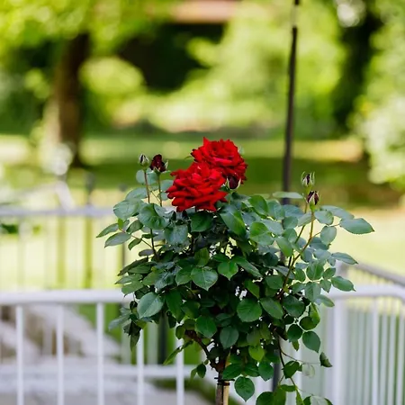 Haus Am Muehlenweg - 4 Haus I - Sonniges Und Modernes *