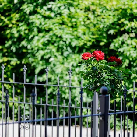 Haus Am Muehlenweg - 4 Haus I - Sonniges Und Modernes Bad Worishofen