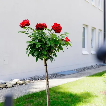 Haus Am Muehlenweg - Typ 4 Haus I - Sonniges Und Modernes Διαμέρισμα
