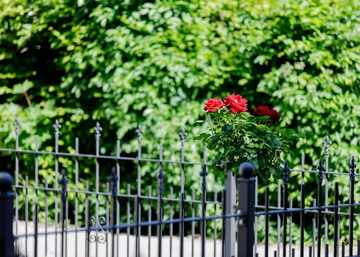 Haus Am Muehlenweg - 4 Haus I - Sonniges Und Modernes Bad Wörishofen