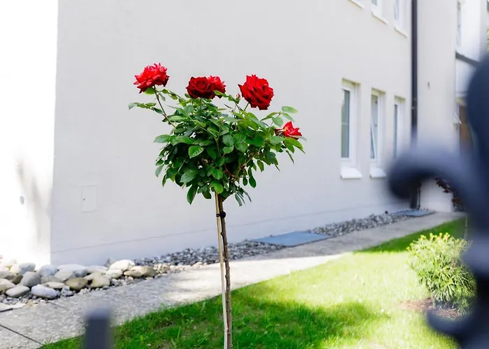 Haus Am Muehlenweg - 4 Haus I - Sonniges Und Modernes Apartman