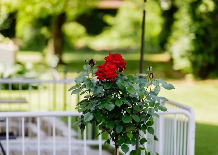 Haus Am Muehlenweg - 4 Haus I - Sonniges Und Modernes *